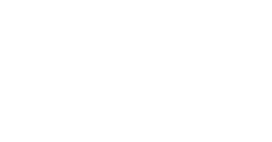Recydag 77